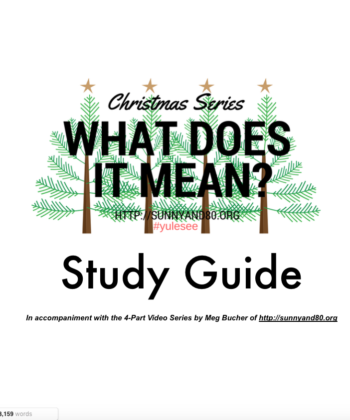 What Does It Mean Study Guide Cover pic